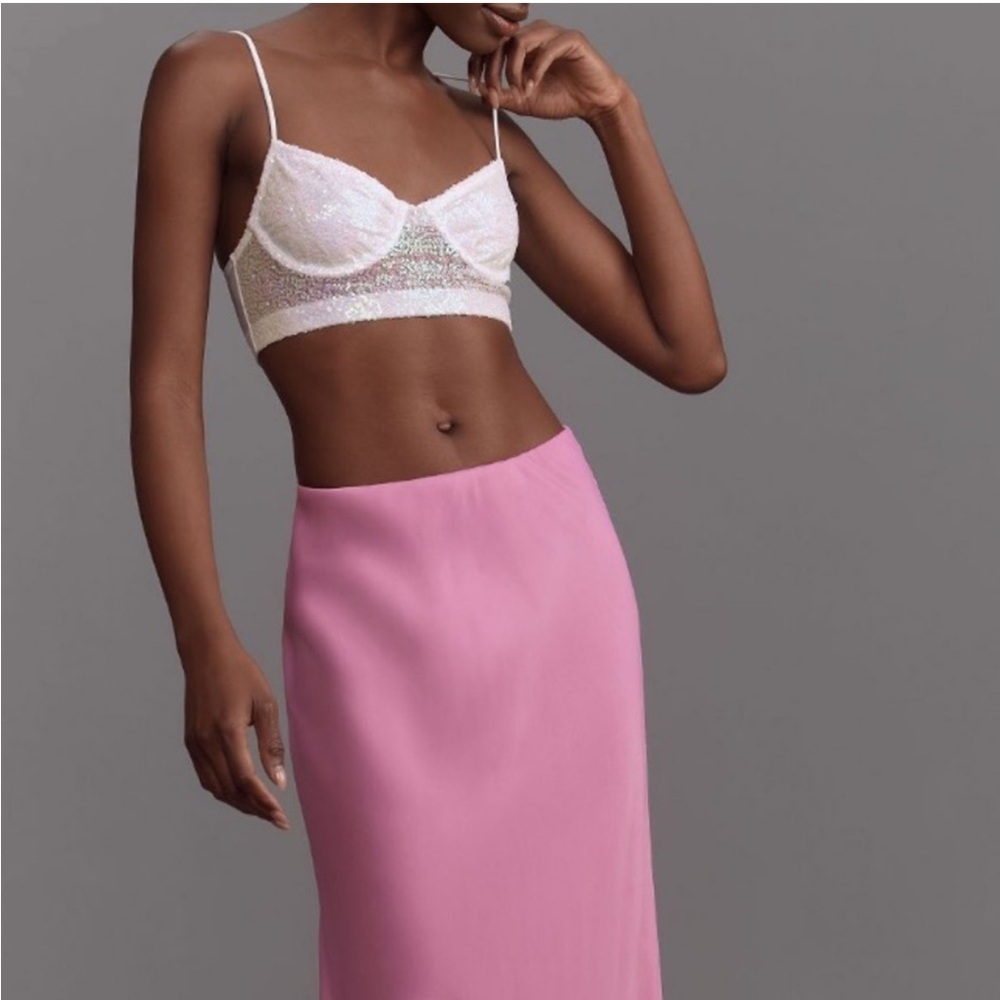 NWT Anthropologie, Sequin Mesh Crop Top